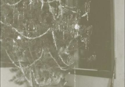 Photo of a Chistmas tree in 1923