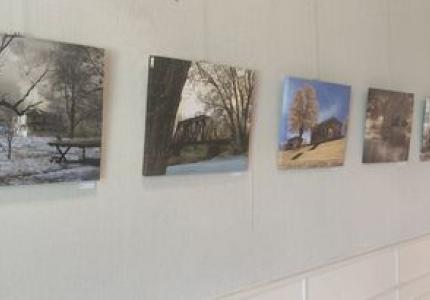 Art Show photos