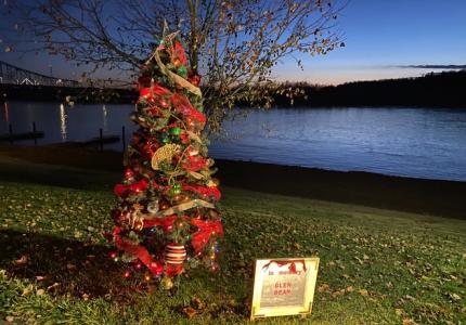 Memorial tree photo courtesy of Katelyn Waltemyer