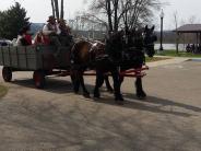 Horse and Carriage 