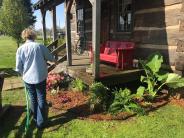 Volunteer watering shrubs