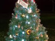 Cadence's memorial tree