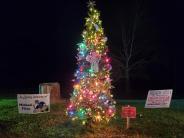 Flinn memorial tree