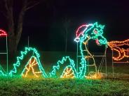 sea dragon