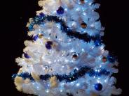 Ron Smith memorial tree