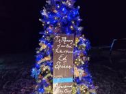 Speece memorial tree